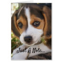 Search for beagle birthday cards Puppies
