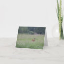 Search for tall photo cards Animal