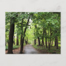 Search for forest path postcards Hike