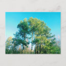 Search for green trees postcards Outdoors