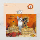 Search for thanksgiving cat postcards Kitten