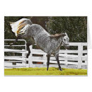 Search for equine image Photograph