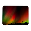 Search for bird tree magnets Forest