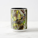 Search for birdfeeder mugs Garden
