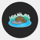 Search for platypus stickers Animal