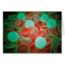 Search for immune system postcards White blood cells