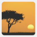 Search for masai stickers Tree