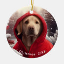 Search for lab christmas tree decorations Dog