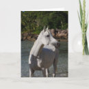 Search for headshot cards Animal