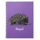 Search for echidna Animal