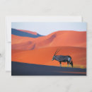 Search for namibia cards Desert