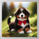 Search for berner posters Dog
