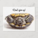 Search for upside postcards Animal