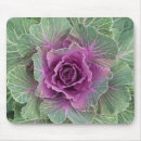 Search for cabbage mouse mats Botanical