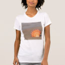 Search for pictures of shells tshirts Coast