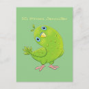 Search for budgie parakeet postcards Cute