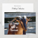 Search for goat invitations Black