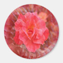 Search for flutter magnets Pink