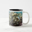 Search for great barrier reef mugs Sea