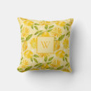 Search for lemon slice cushions Modern