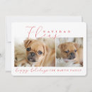 Search for flea cards Feliz navidad
