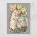Search for vertical easter cards Daffodils