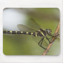 Search for back yard electronics Nature