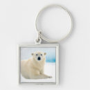 Search for arctic animal key rings Superstock