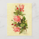 Search for klein postcards Vintage
