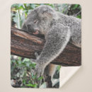 Search for koala bear blankets Tree