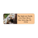 Search for calico cat return address labels Cats