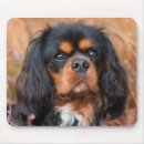 Search for king charles spaniel mouse mats Canine