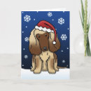 Search for afghan hound cards Afghans