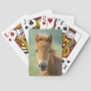 Search for shetland pony gifts Foal