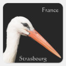 Search for bird with red head stickers White