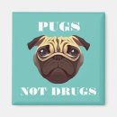 Search for drug magnets Pug