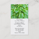 Search for hosta Nature