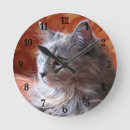 Search for cat clocks Fluffy