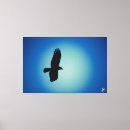 Search for post canvas prints Sky