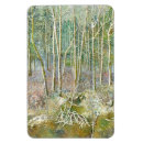 Search for frozen magnets Forest