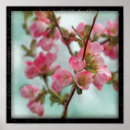 Search for quince art Photography