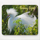 Search for egrets mouse mats Nature