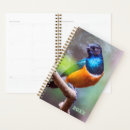 Search for birds planners Colourful
