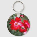 Search for red key badges Flower photography