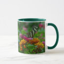 Search for botany drinkware Butterfly