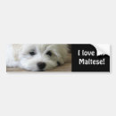 Search for christmas bumper stickers Puppy