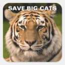 Search for save the tiger stickers Big cats