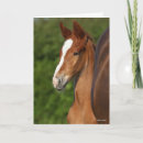 Search for foal cards Chestnut