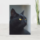 Search for kitty halloween cards Feline