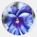 Search for pansies stickers Nature